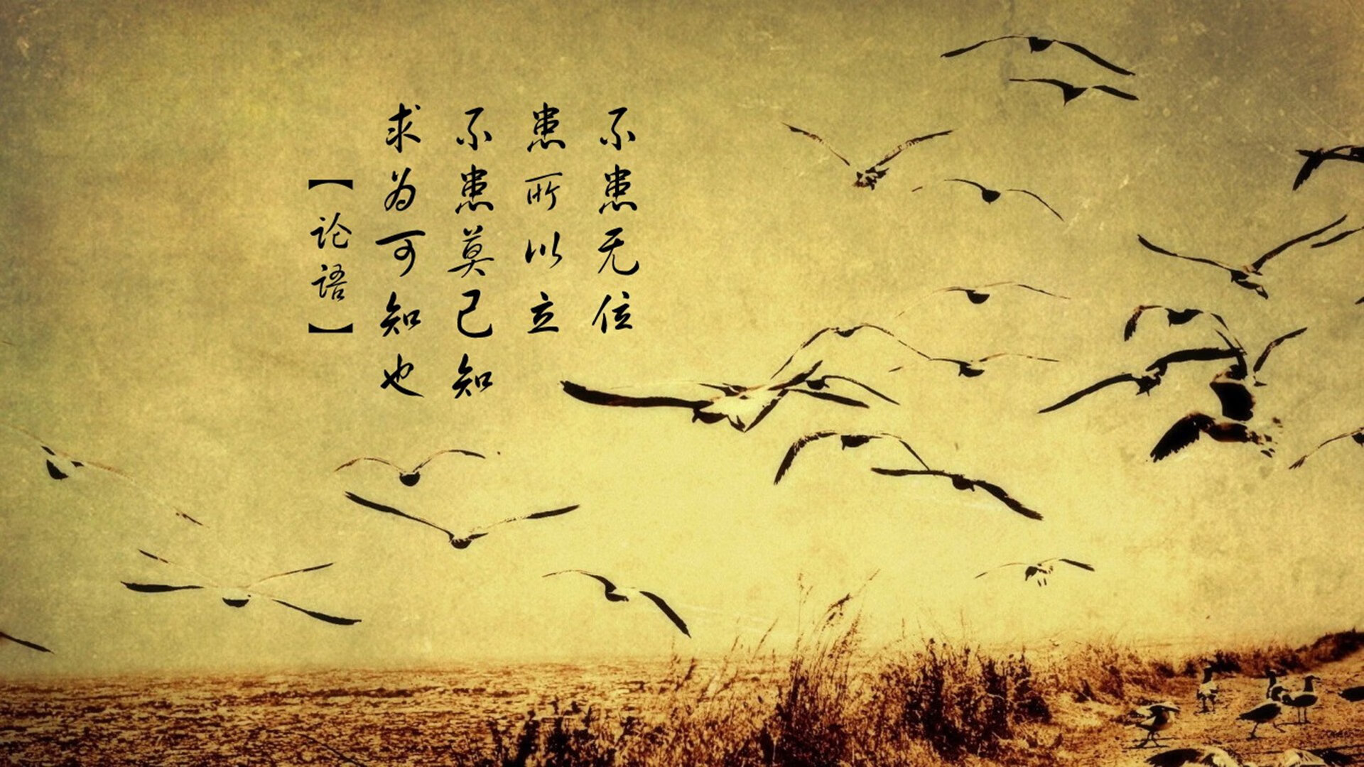 中超联赛国足迎战 技术执行成焦点话题，中国足协中超新政