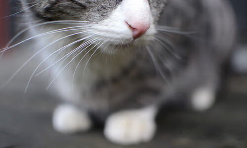 爱游戏体育APP下载-观众互动体验技术持续创新，观众互动体验技术持续创新研究