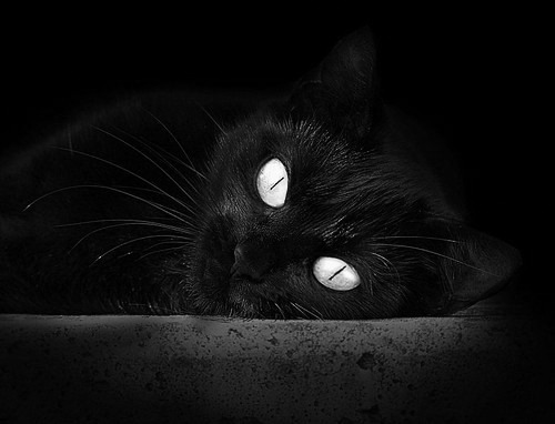 爱游戏体育在线赛事-乌干达男篮在非洲预赛中披荆斩棘，迈入巅峰之路，乌干达篮球联赛视频