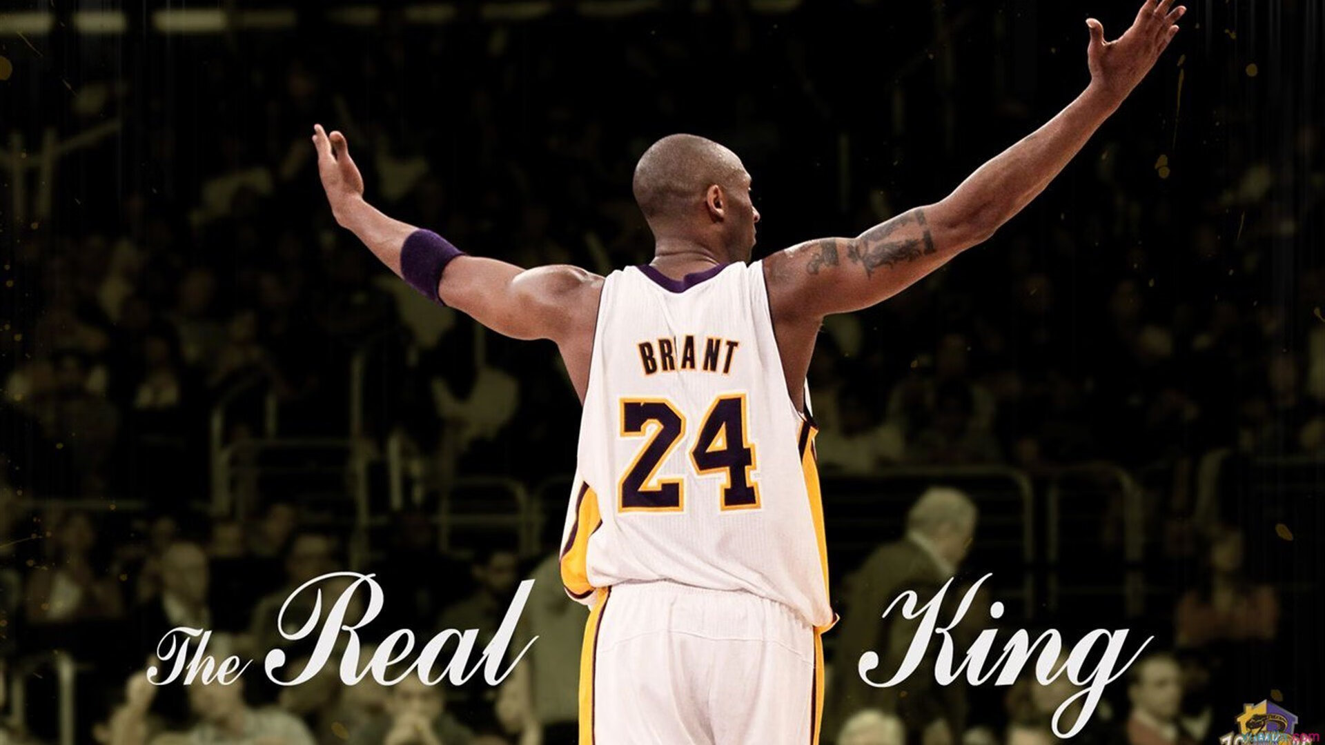 世界志愿者日“爱心接力跑” 一棒一故事 跑者讲述自己的志愿经历